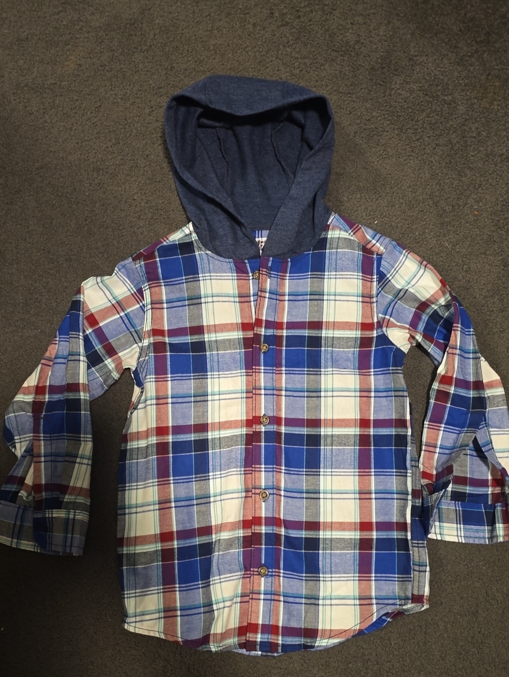 Carter's Blue & Red Plaid Hooded Button-Down Shirt